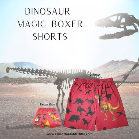 Dinosaur Magic Boxer Shorts