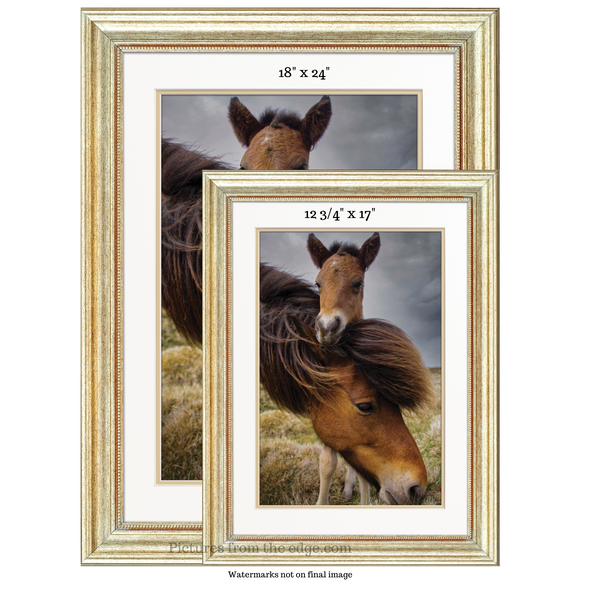BeMoved by Adorable Mother and Foal Poster. Movable and removable!