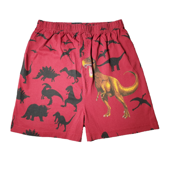 Dinosaur Boxer Shorts