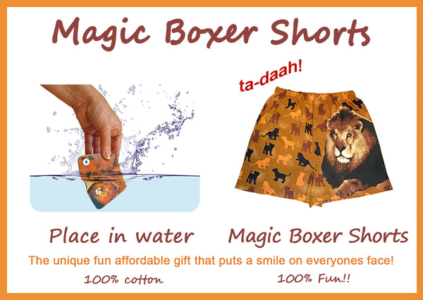 Lion King Magic Boxer Shorts